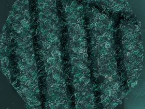 diamond spruce